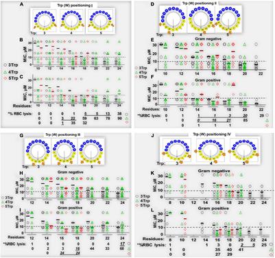 Rational Framework for the Design of Trp- and Arg-Rich Peptide Antibiotics Against Multidrug-Resistant Bacteria